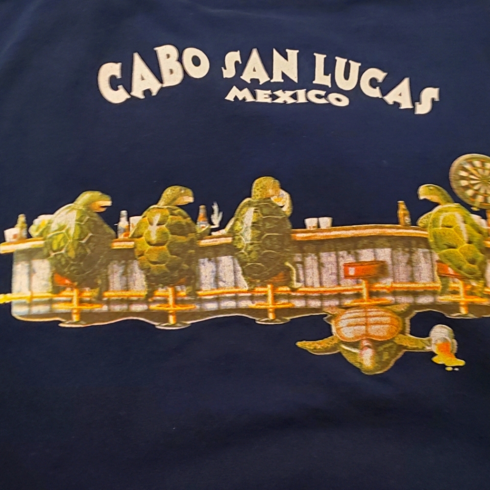 Two Graphics Tee Shirts